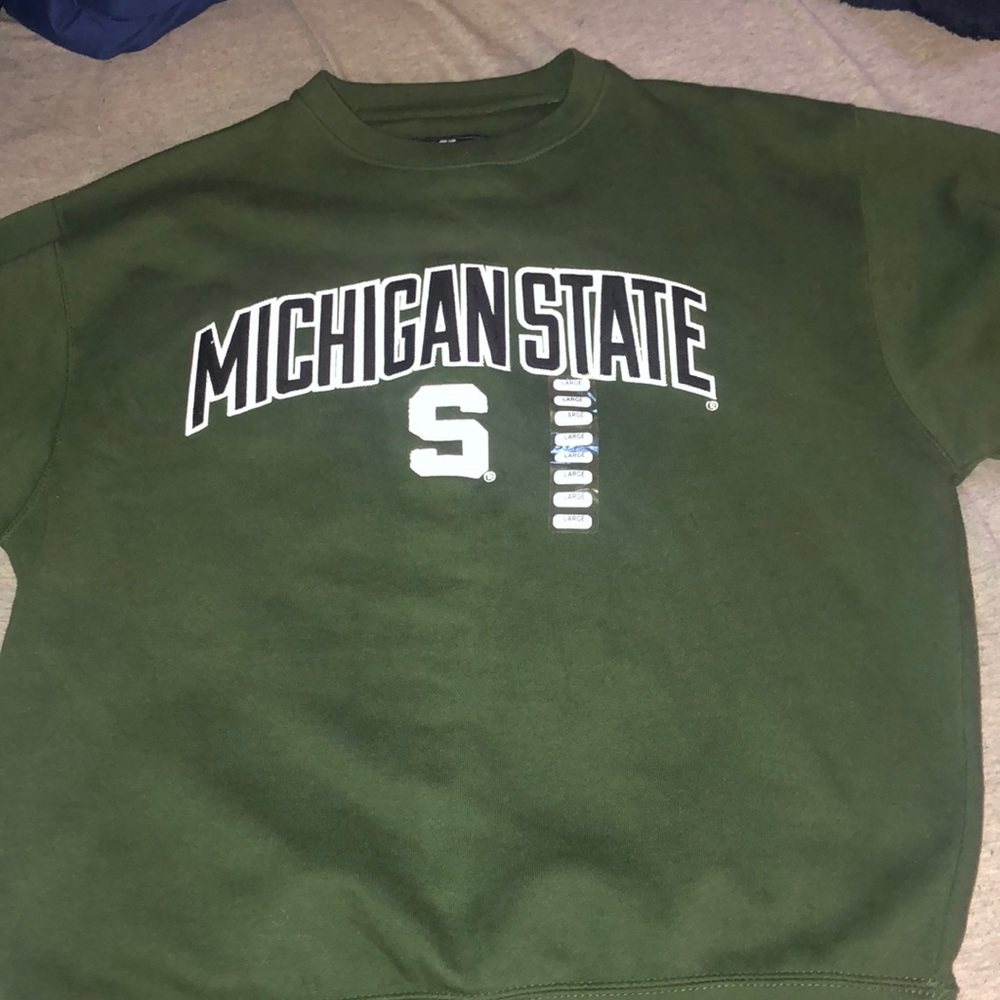 A green Michigan state sweater